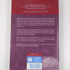 Trevor Lubbe : The Borderline Psychotic Child: A Selectiv... - pikkukuva 2