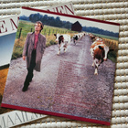 Pave Maijanen – Maailman Tuulet (LP) - pikkukuva 3