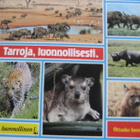 WWF ELÄIN TARRAT (16 tarraa arkissa) - pikkukuva 3