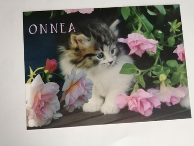 Kissa kortti Onnea