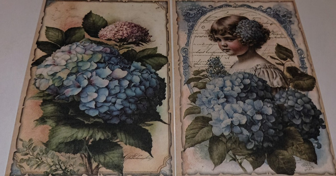 Korttikuvia HORTENSIA / 2 kpl -setti / A6