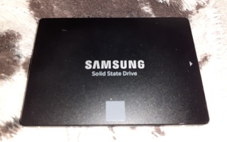 Kovalevy - SSD - 120Gb (Samsung)