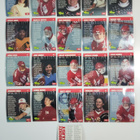 1994-95 Classic Women of Hockey #W1-W40 - pikkukuva 3