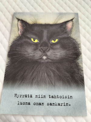 Kissa postikortti