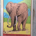 Tarzan 08 1984 - pikkukuva 2