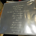 TERENCE TRENT D'ARBY - INTRODUCING THE HARDLINE.. LP uusi - pikkukuva 2