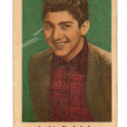 Purkkakuva A. n:o 36 PAUL ANKA. Purukumikuva. - pikkukuva 1