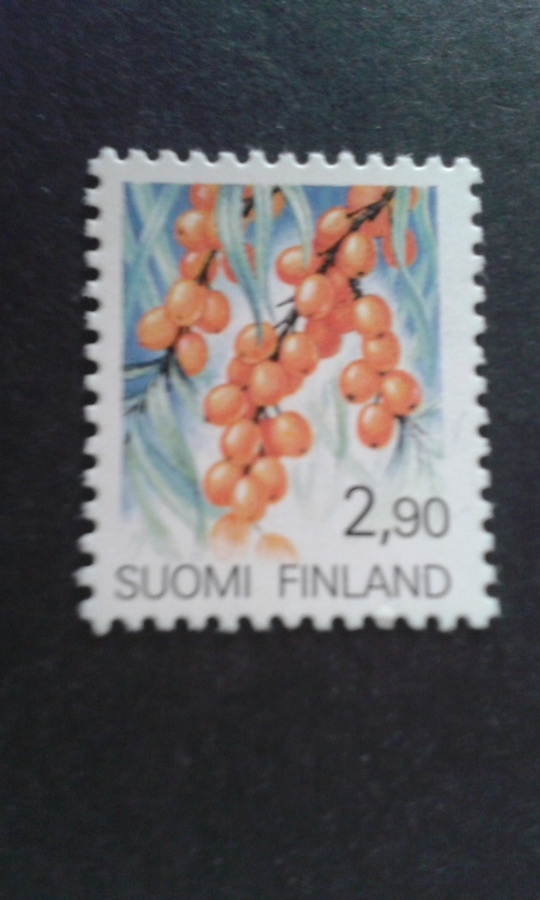1991 tyrni**