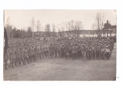 VANHA Valokuva Suojeluskunta + Partiolaiset Kuopio 1919
