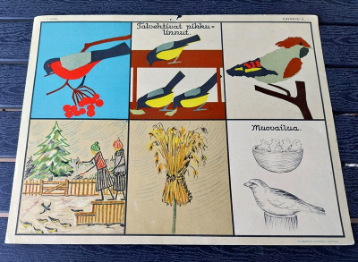 Opetustaulu Tilgmann n. 41,2 x 32,5  Talvehtivat pikkulinnut