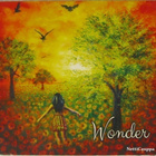 Wonder (Promo • 2013) CDr-EP - pikkukuva 1