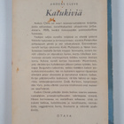 Anders Cleve : Katukiviä - pikkukuva 2