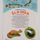 Paula Hihnala : Suomalaisia eläimiä : tarratietokirja - pikkukuva 2