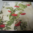 KATI SALO - S/T - EX+/EX- LP - pikkukuva 2