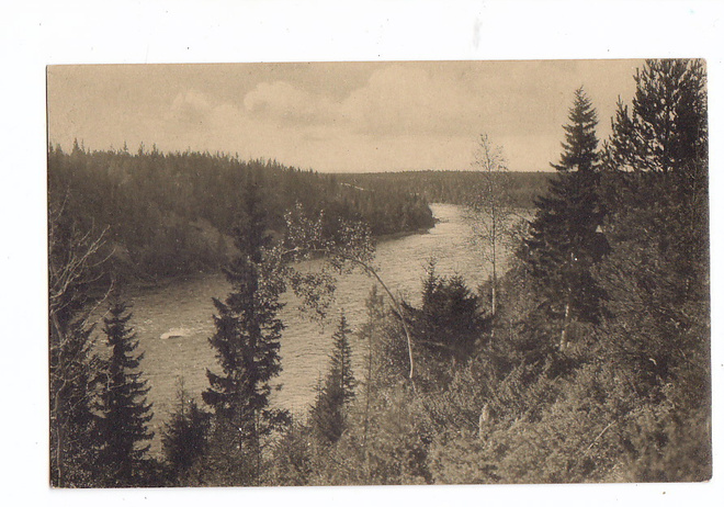 VANHA Postikortti Oulunjoku 1900-1920-l
