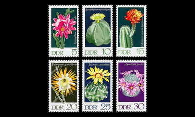 DDR 1625-30 ** Kaktuksia (1970)