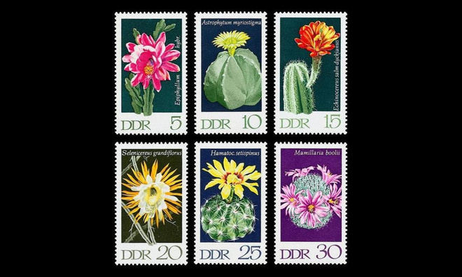 DDR 1625-30 ** Kaktuksia (1970)