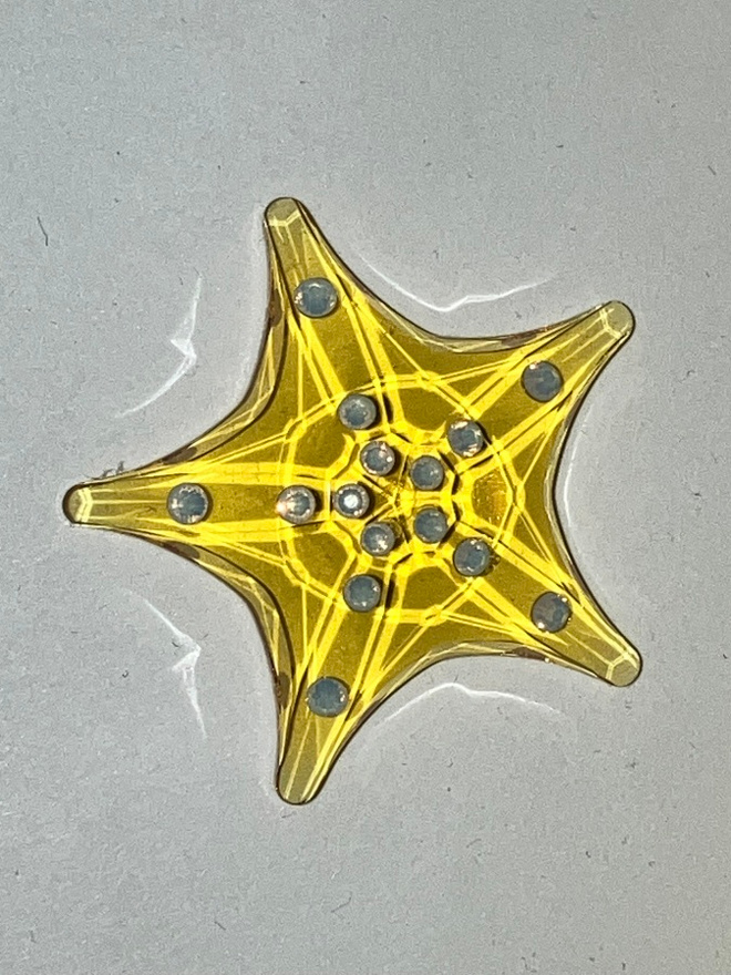 Swarovski 5689310 Gift SCS Membersh. 2025 Starfish (2025-202