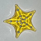Swarovski 5689310 Gift SCS Membersh. 2025 Starfish (2025-202 - pikkukuva 1