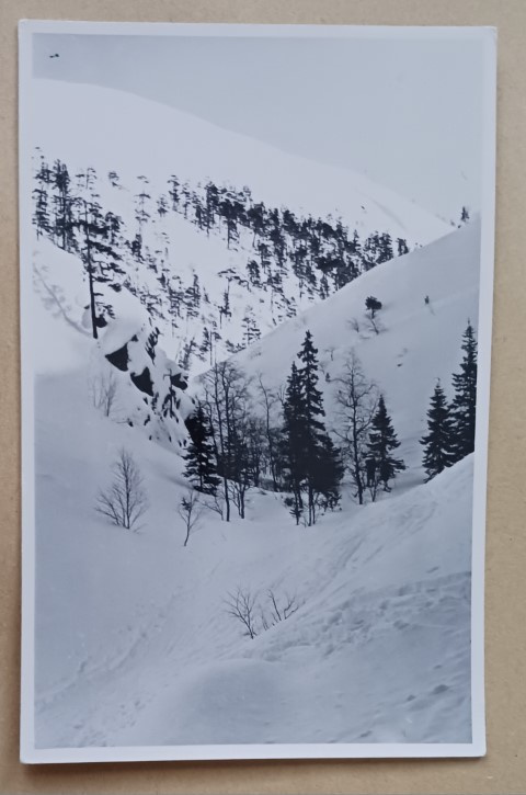 Pyhätunturi, lumista tunturimaisemaa, vkpk, p. 1965