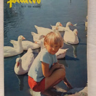 Pellervo No 11 heinäkuu 1970 - pikkukuva 1