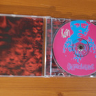 Korn:Untouchables CD - pikkukuva 3
