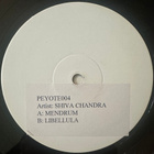 [12''] SHIVA CHANDRA: MENDRUM (Goa trance) - pikkukuva 2