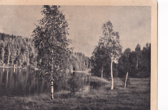 Siilinjärvi, Tarinaharjun Parantola   b646