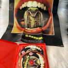 SSSSSSS (1973) 2 BLURAY + JULISTE - pikkukuva 3