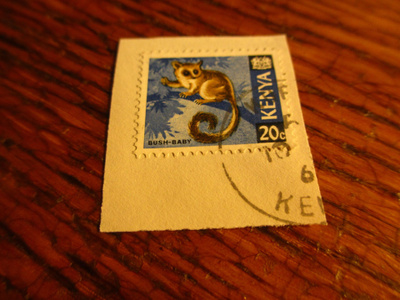 kenia pm leike puoliapina