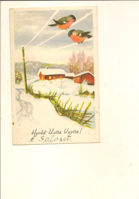 VIKAINEN ,,,, LINNUT LANGALLA ,,,, KUVAT. 351