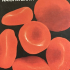 SIRPA KYYRÖNEN: NAISPATSAITA - pikkukuva 1