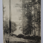 Punkaharju, vanha kortti, kulkenut 1902, kotkamerkki - pikkukuva 1