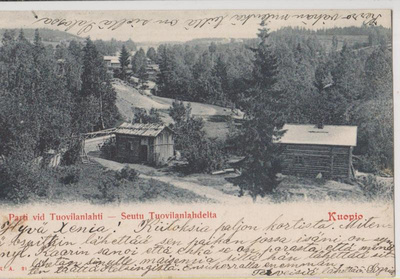 Kuopio Tuovilanlahti  mv,   p175