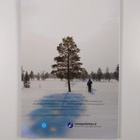 Marjo Laukkanen : Arctic variety - pikkukuva 2