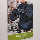Luonnossa 2008 - pikkukuva 1