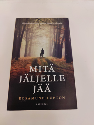 Rosamund Lupton; Mitä jäljelle jää