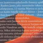 Lauren St. John: Elefantin tarina - pikkukuva 4