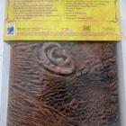 Evil Dead Book of the Dead limited edition DVD - pikkukuva 2
