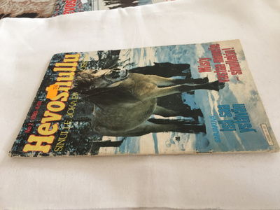 HEVOSHULLU 2/1980
