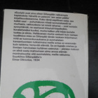 F.E. Sillanpää / Ihmiset suviyössä - pikkukuva 2