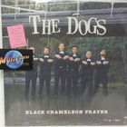 THE DOGS - BLACK CHAMELEON PRAYER - NEW / UUSI LP - pikkukuva 1