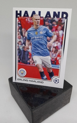 Erling Haaland - UEFA Club Competitions 2024/25, Topps