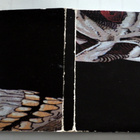 GRATEFUL DEAD Infrared Roses CD - pikkukuva 3
