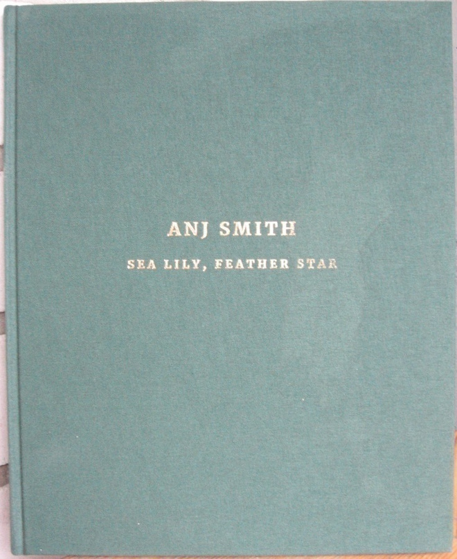 Anj Smith - Sea Lily, Feather Star