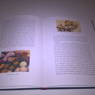 Monet at Giverny - Karin Sagner-Düchting - pikkukuva 3