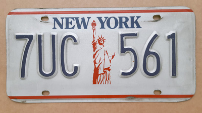 Vapaudenpatsas New York jenkkiväreissä rekisterikilpi 30 cm