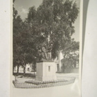 VANHA Postikortti Vaasa 1930-l Alkup.Mallikappale - pikkukuva 1