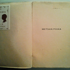 Sauli Jalmari: Metsän poika, v. 1924 - pikkukuva 3