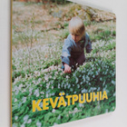 Mats Wirström ym. : Kevätpuuhia - pikkukuva 1